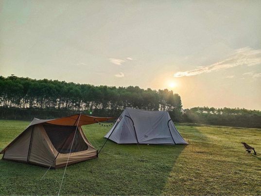pinkcampstore.com