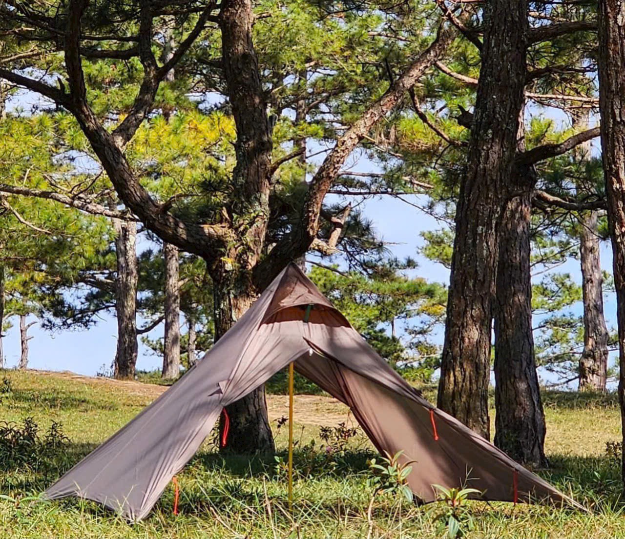 pinkcampstore.com