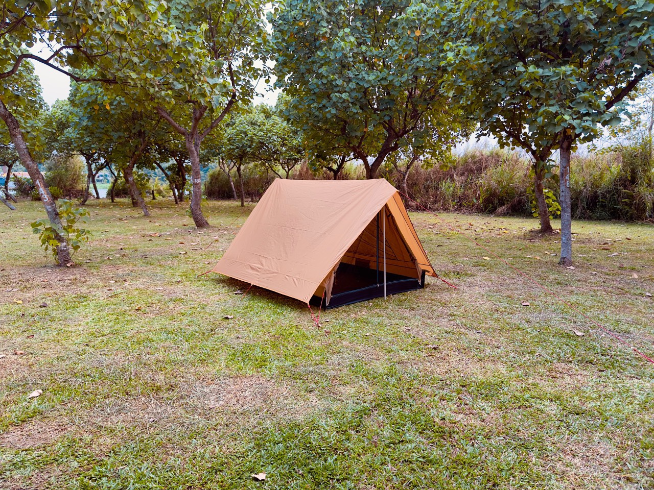 pinkcampstore.com
