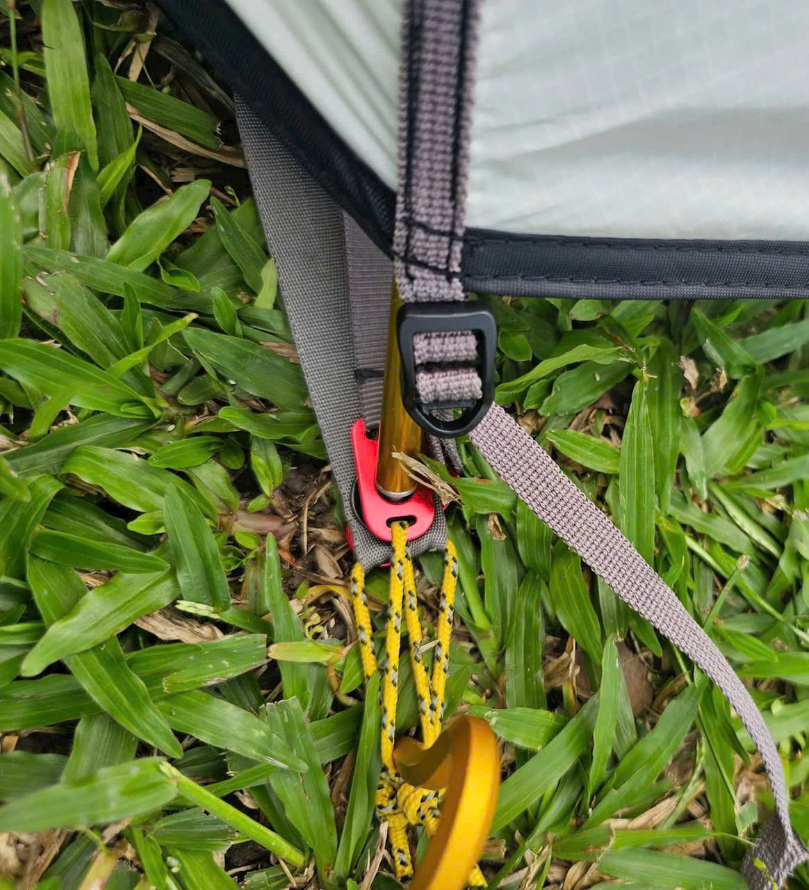 pinkcampstore.com