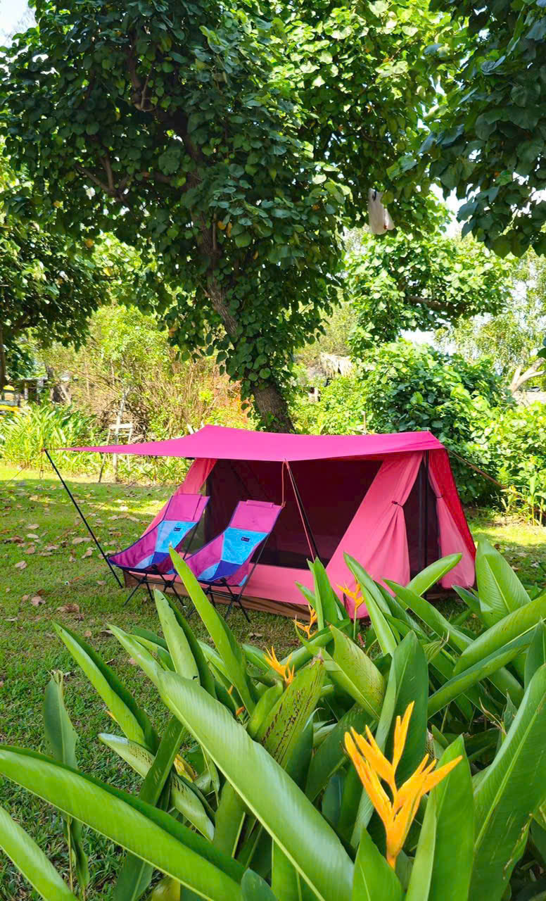 pinkcampstore.com