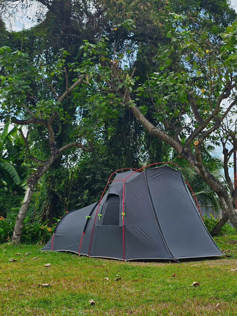 pinkcampstore.com