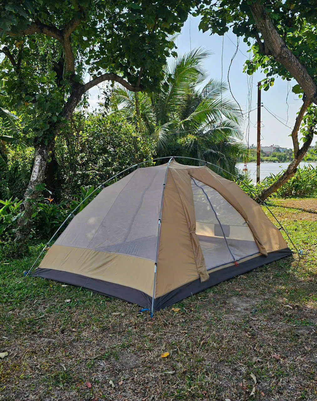pinkcampstore.com